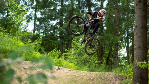 West Newton Bike Shop | Sales, Repairs and Rentals on the Youghiogheny ...